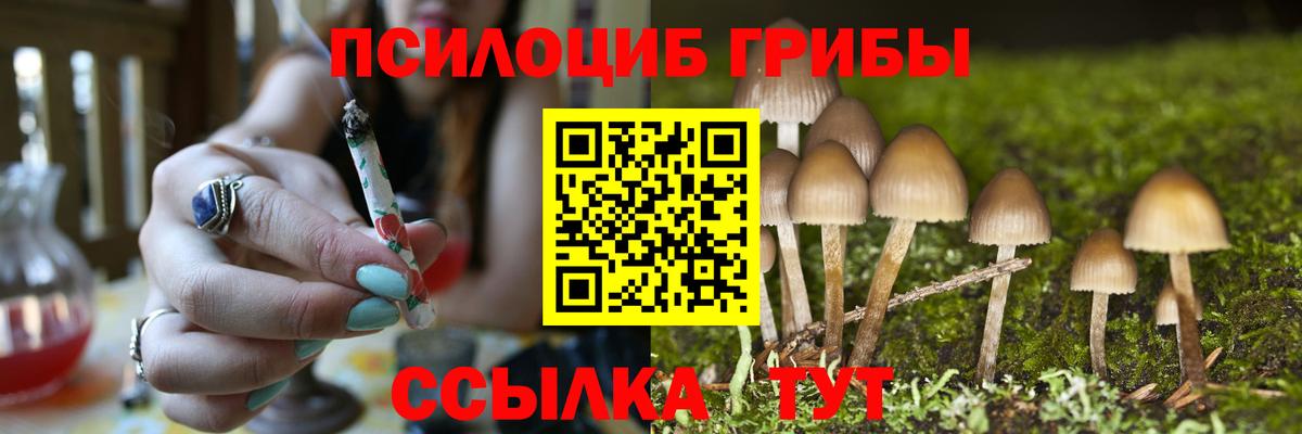 Псилоцибиновые грибы GOLDEN TEACHER  магазин продажи   Железноводск  Вход с VPN 