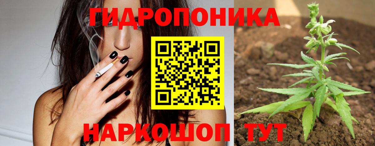 Бошки Шишки MAZAR Железноводск